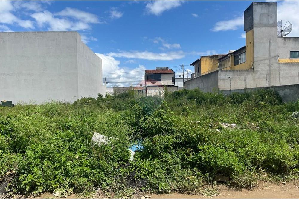 Terreno - Venda - Caruaru , Pernambuco - WhatsApp Image 2025-03-06 at 11.13.50.jpeg - 850161060-23