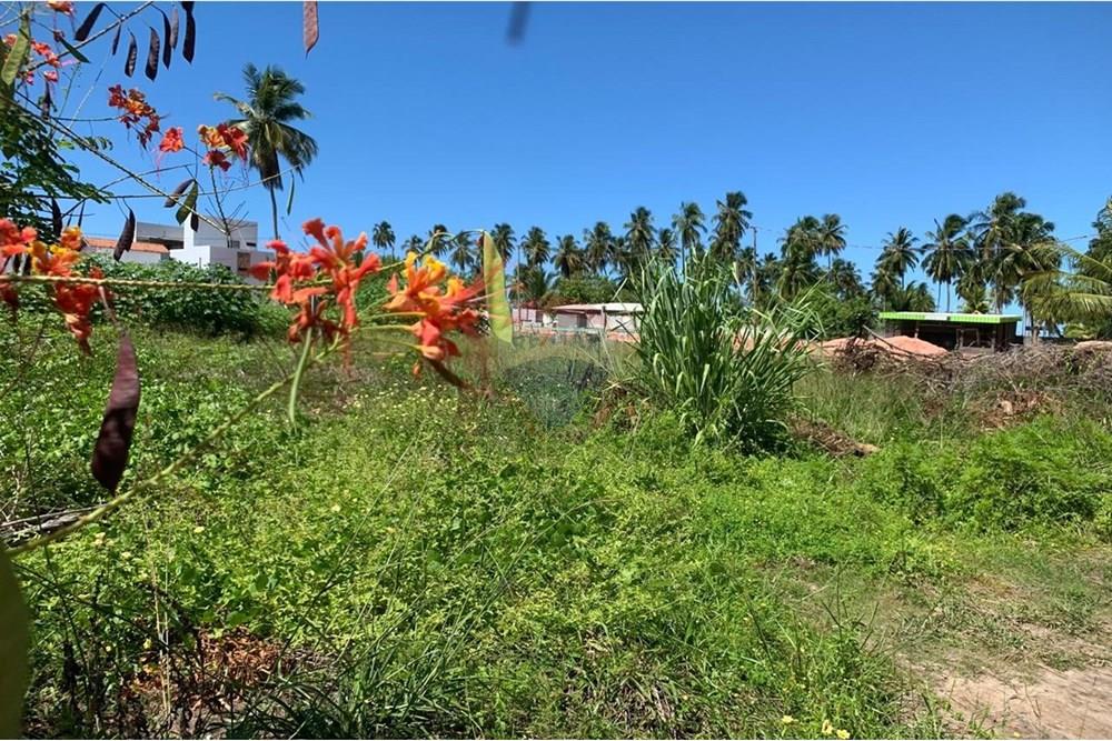 Terreno - Venda - Porto de Pedras , Alagoas - 10.jpg - 850661038-25