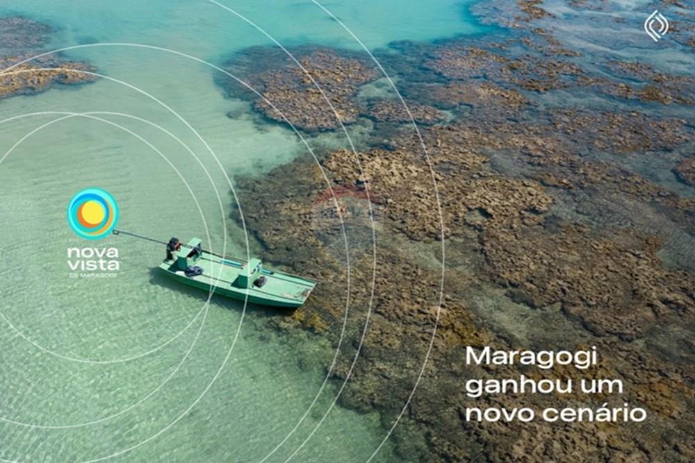 Terreno - Venda - Maragogi , Alagoas - IMG_5231.jpg - 850291012-5