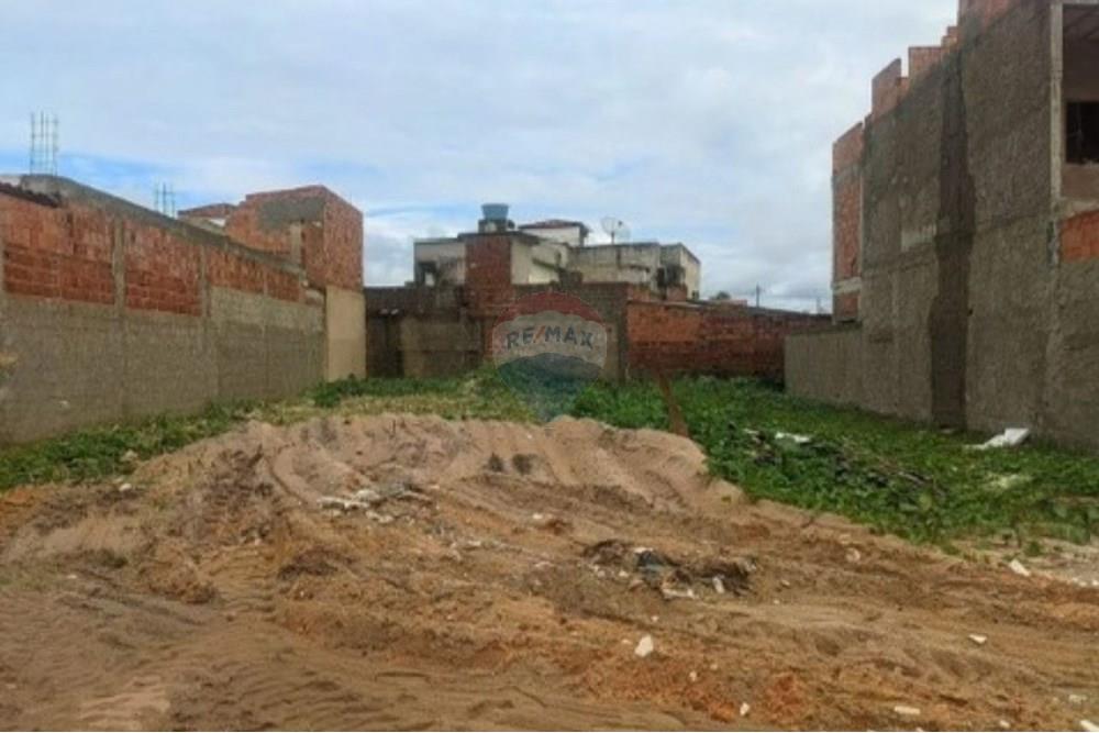 Terreno - Venda - Tamandaré , Pernambuco - 2.jpg - 850251097-5