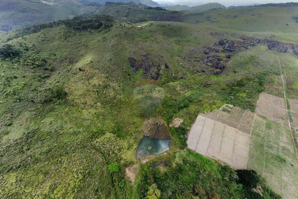 Chácara / Sítio / Fazenda - Venda - Bonito , Pernambuco - WhatsApp Image 2024-12-05 at 15.53.58.jpeg - 850051012-116