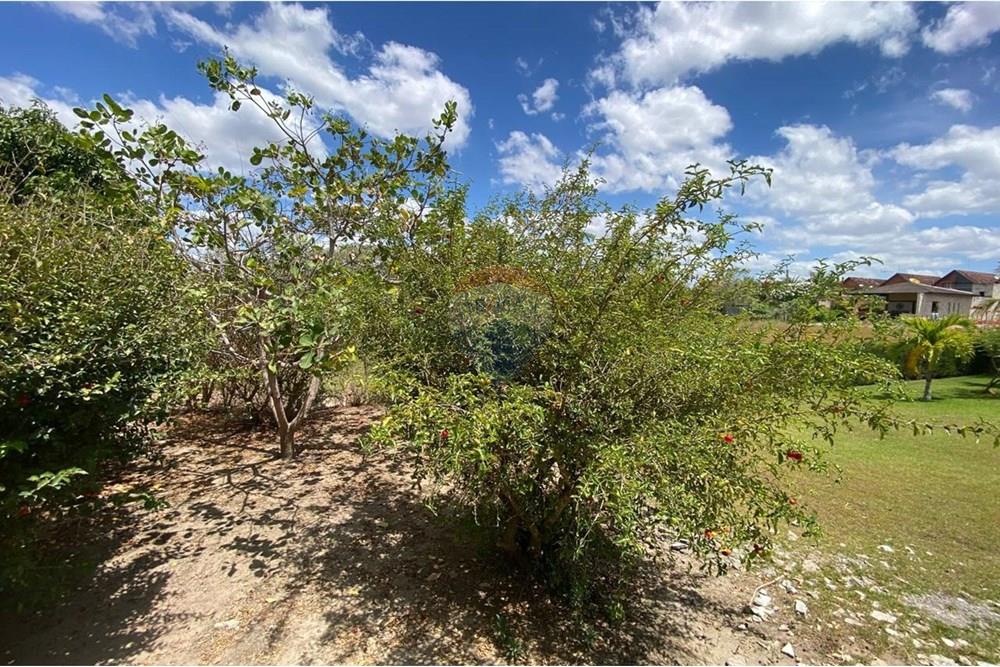 Casa de Condomínio - Venda - Gravatá , Pernambuco - IMG-20241216-WA0309.jpg - 850701012-74