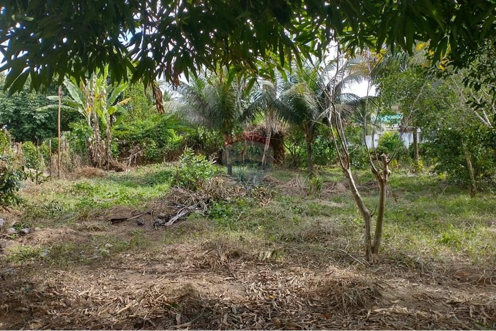 Terreno - Venda - Cabo de Santo Agostinho , Pernambuco - IMG-20250128-WA0044.jpg - 850281015-117