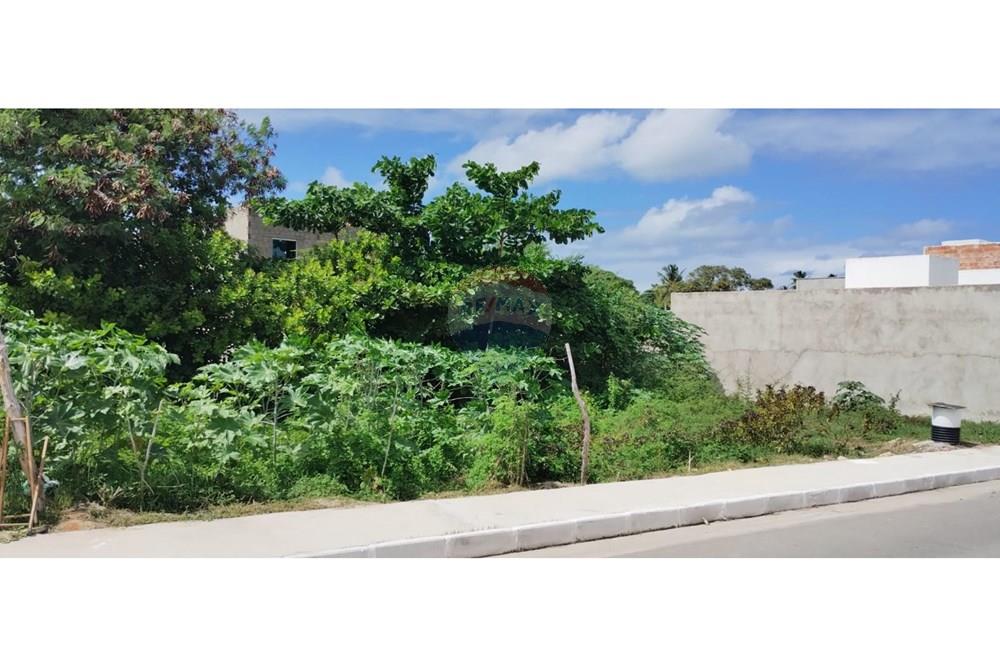 Terreno - Venda - Marechal Deodoro , Alagoas - Imagem do WhatsApp de 2025-05-15 à(s) 09.45.45_87c710bd.jpg - 850141085-3