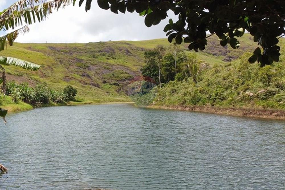 Chácara / Sítio / Fazenda - Venda - Bonito , Pernambuco - WhatsApp Image 2024-12-05 at 15.54.00 (3).jpeg - 850051012-116