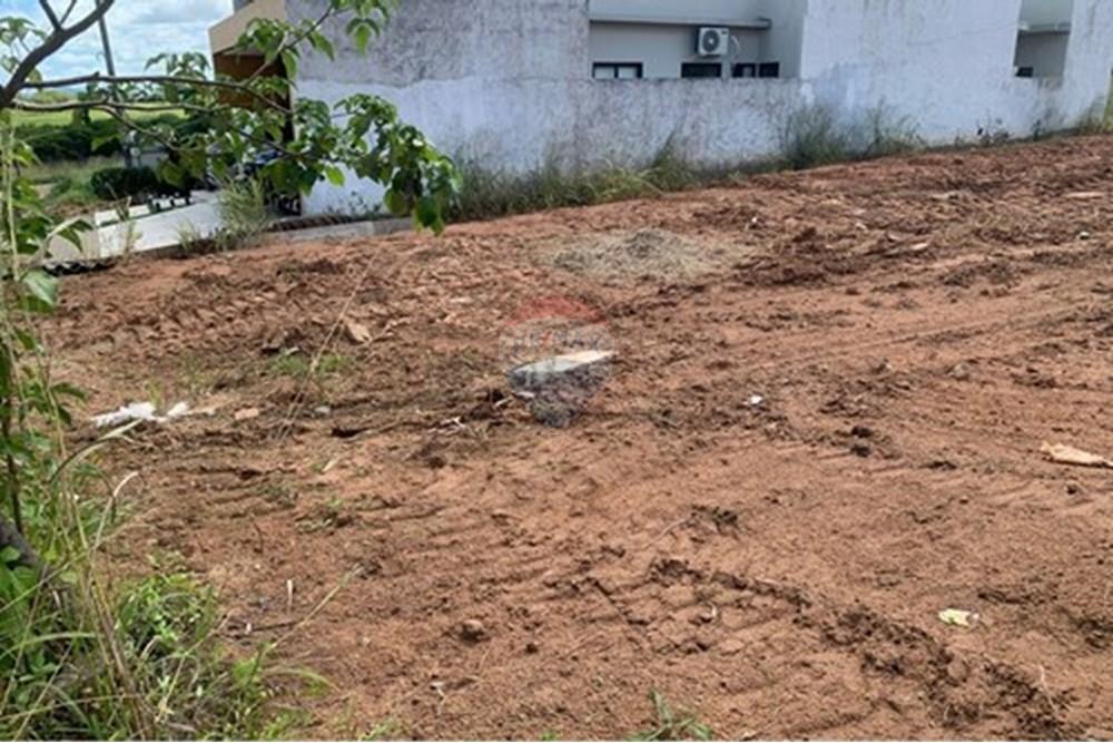 Terreno - Venda - Palmeira dos Índios , Alagoas - L_db11d8ad-86a0-471b-a279-cad3ed615abb.jpg - 850271243-2