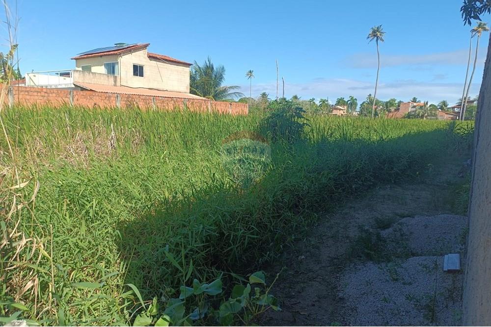 Terreno - Venda - Maceió , Alagoas - TERRENO NICAULA 9.jpg - 850141002-118