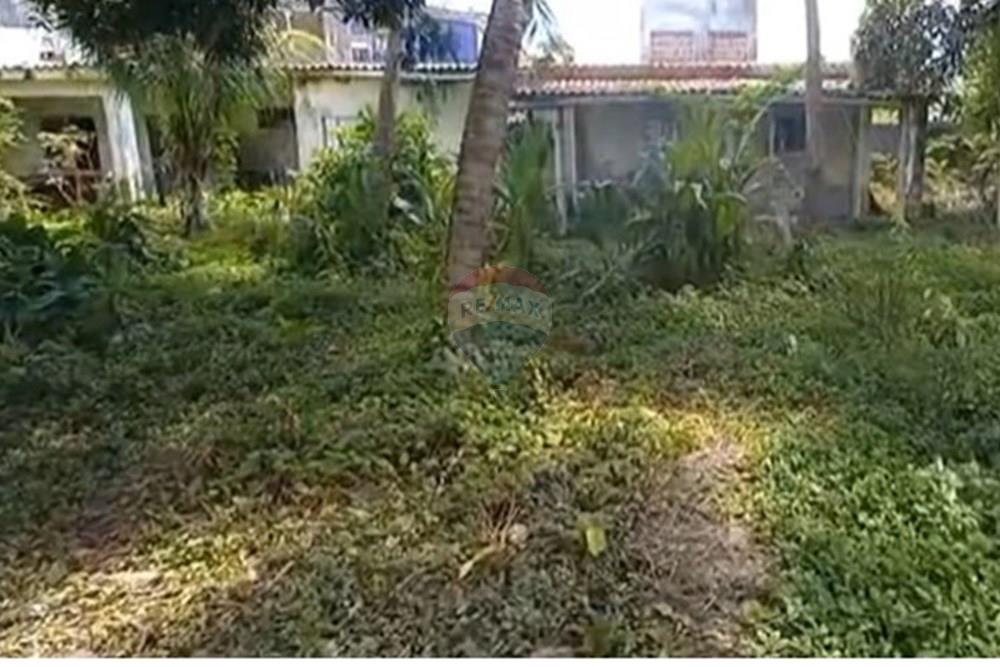 Terreno - Venda - Jaboatão dos Guararapes , Pernambuco - Foto dentro do terreno I.jpg - 850601020-8