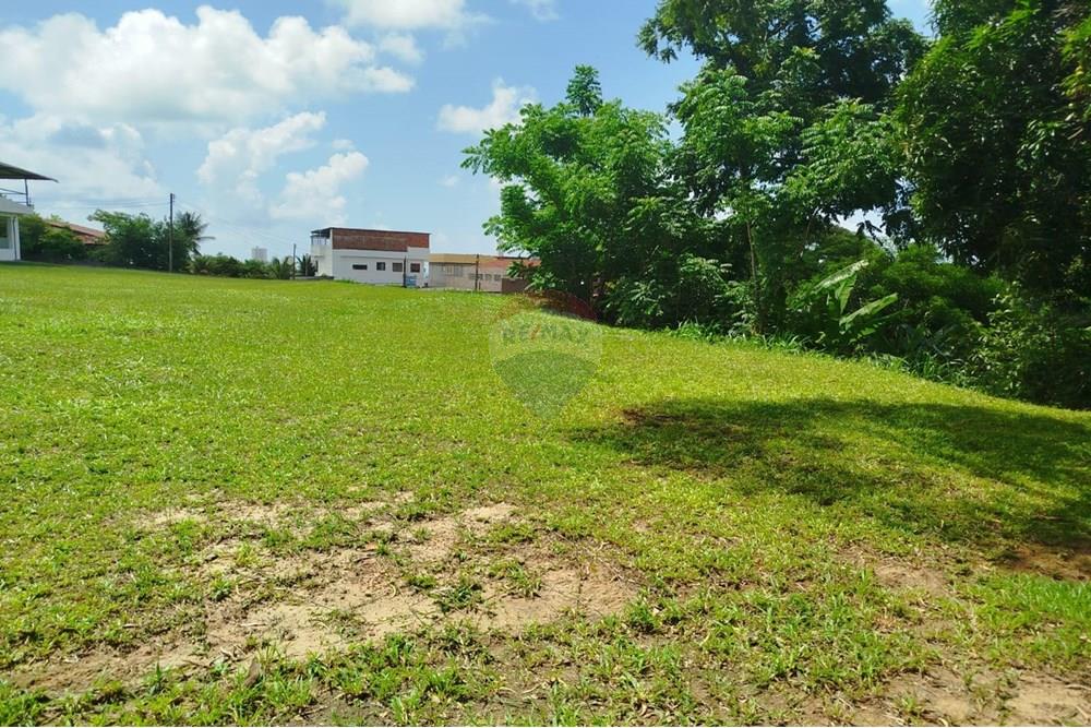 Terreno - Venda - Olinda , Pernambuco - WhatsApp Image 2025-03-16 at 14.33.02 (1).jpeg - 850721002-140