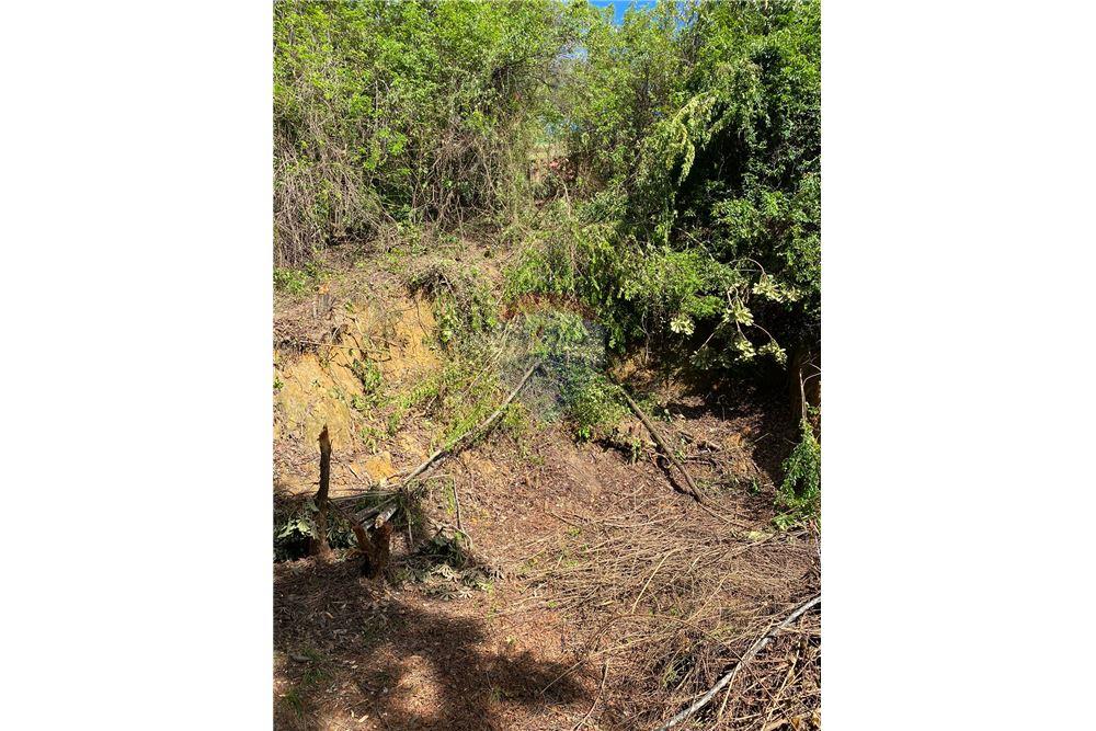 Terreno - Venda - Recife , Pernambuco - 9 - 850251016-617