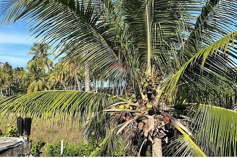 Casa - Venda - Marechal Deodoro , Alagoas - WhatsApp Image 2025-05-19 at 08.45.25 (5).jpeg - 850641045-10