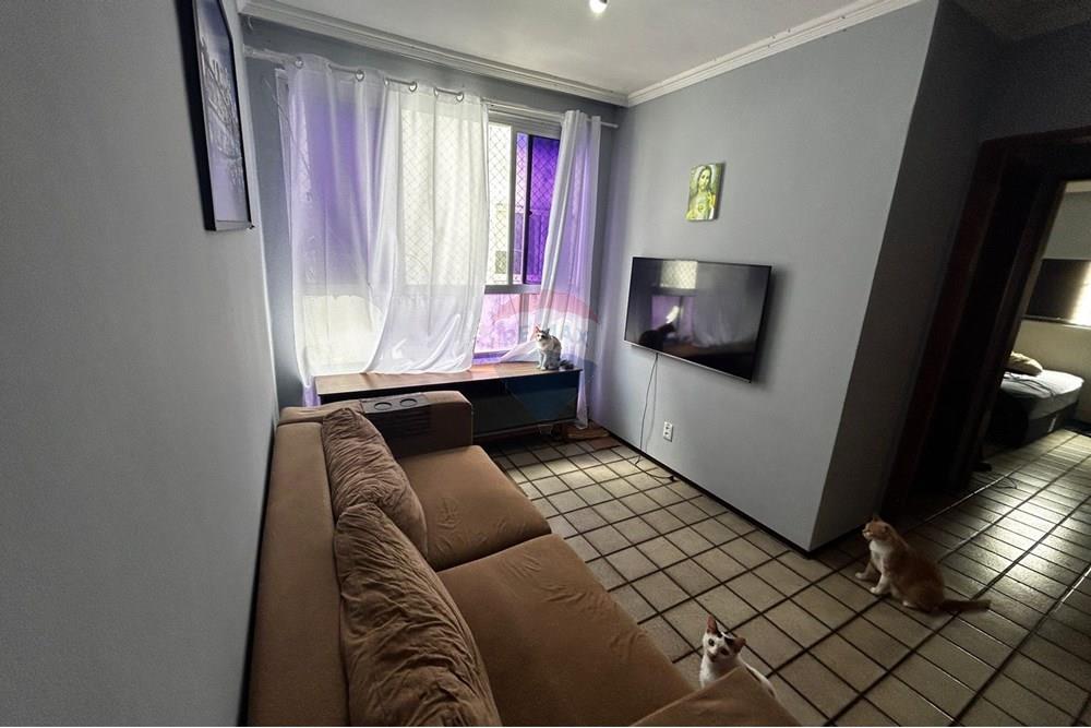 Apartamento - Venda - Recife , Pernambuco - IMG_1970.jpeg - 850701016-104