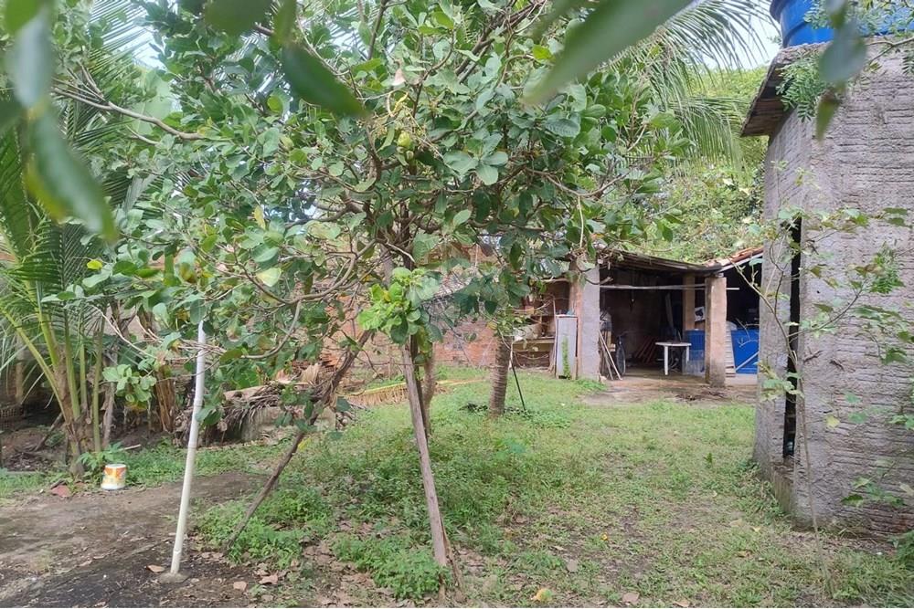 Terreno - Venda - Paripueira , Alagoas - terreno paripueira e.jpeg - 850141095-1