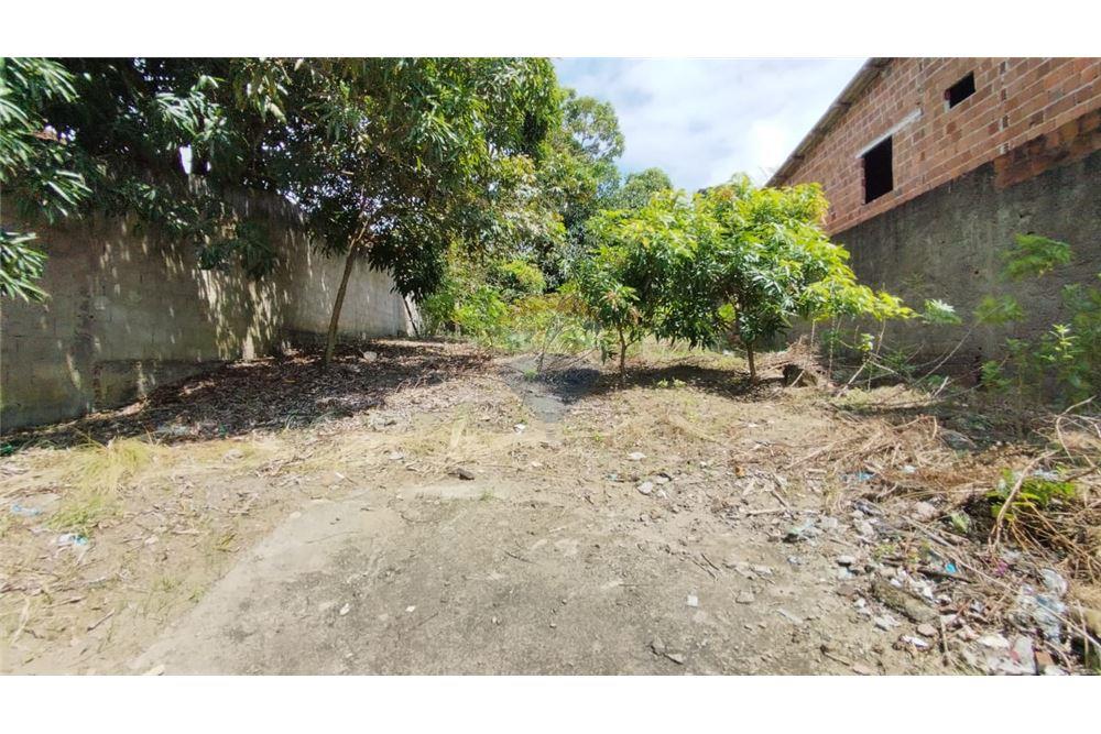 Terreno - Venda - Cabo de Santo Agostinho , Pernambuco - 11 - 850281001-40