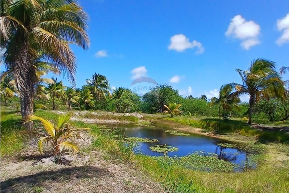 Chácara / Sítio / Fazenda - Venda - Piaçabuçu , Alagoas - IMG-20250221-WA0123.jpg - 850271205-15