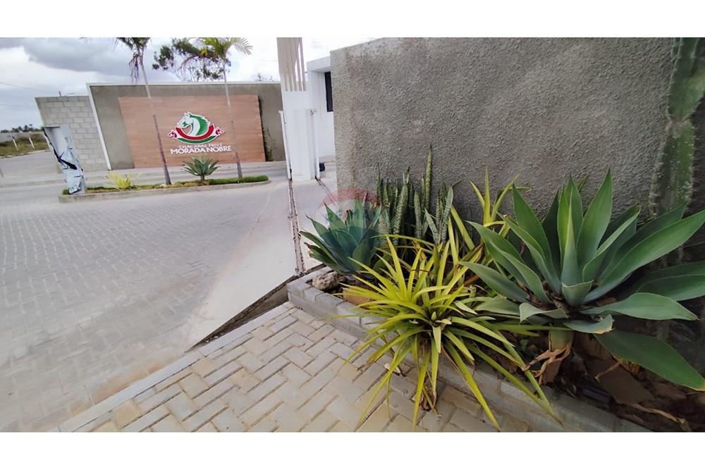 Terreno - Venda - Caruaru , Pernambuco - 595a132d-8c36-4cc4-94f8-520c7cdfa7ba.jpg - 850191024-425