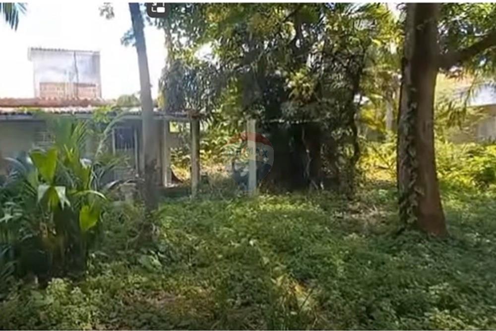 Terreno - Venda - Jaboatão dos Guararapes , Pernambuco - Foto dentro do terreno IX.jpg - 850601020-8