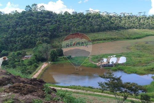 Venda-Fazenda-Centro , Barbacena , Minas Gerais , 36207000-860391012-32