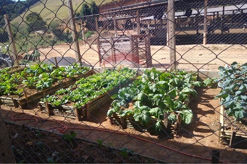 Slider Image Thumbnail