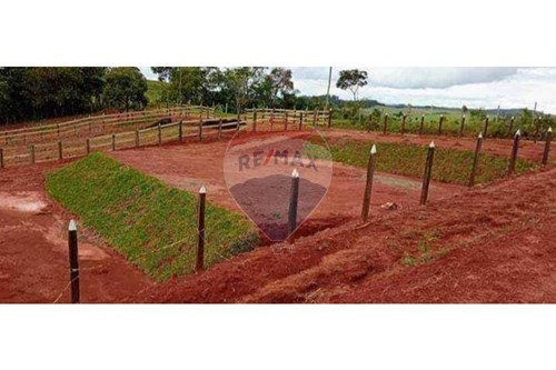 Venda-Chácara / Sítio / Fazenda-Queluzito , Minas Gerais , 36424000-860421030-46