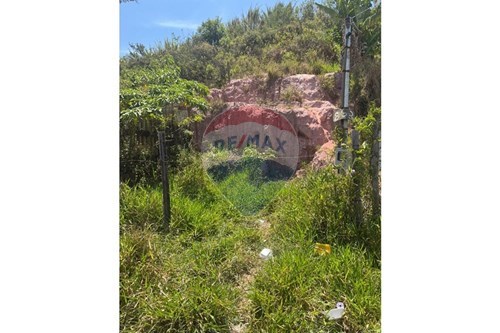 Venda-Terreno-Paulo VI , Conselheiro Lafaiete , Minas Gerais , 36406259-860421030-43