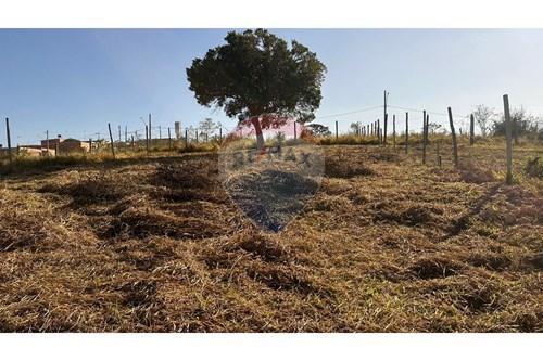 Venda-Terreno-Parque Montreal , Conselheiro Lafaiete , Minas Gerais , 36400000-860421029-132