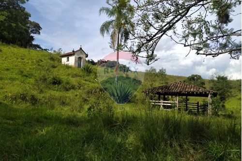 Venda-Chácara / Sítio / Fazenda-Queluzito , Minas Gerais , 36424000-860421002-442