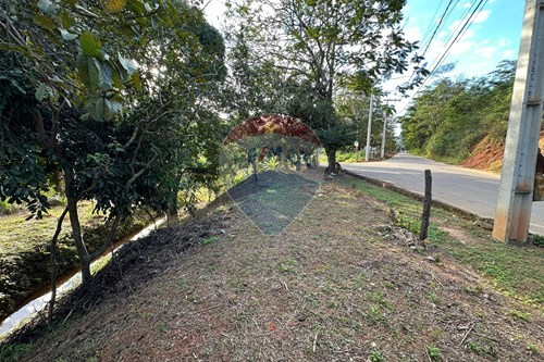 Venda-Terreno-Avenida Alvino Carlos de Souza , SN  - Próximo a esquina.  - Barra , Muriaé , Minas Gerais , 36888253-860371007-101