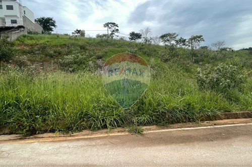 Venda-Terreno-São Lucas , Conselheiro Lafaiete , Minas Gerais , 36407260-860421029-49