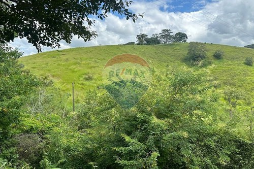 Venda-Terreno-Matias Barbosa , Matias Barbosa , Minas Gerais , 36120000-860291033-86