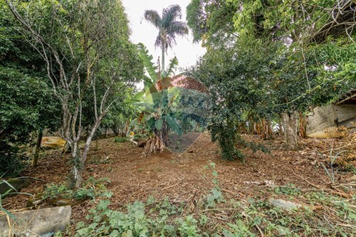 Venda-Terreno-Democrata , Juiz de Fora , Minas Gerais , 36035-220-860241114-35