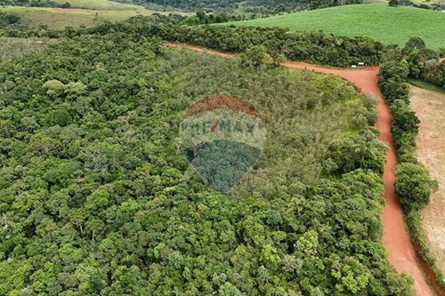 Venda-Terreno-Centro , Liberdade , Minas Gerais , 37350000-860271009-18