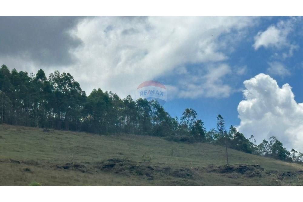 Chácara / Sítio / Fazenda - Venda - Santa Rita do Ibitipoca , Minas Gerais - b4d709a8-3e33-481d-86bc-4006355e3825.JPG - 860291033-67