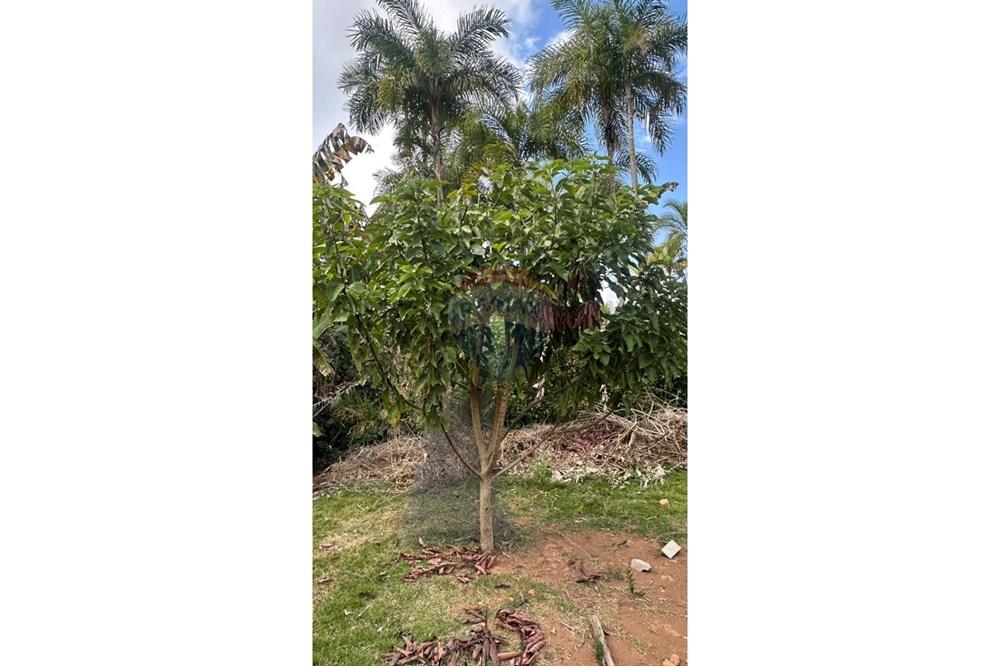 Terreno - Venda - Juiz de Fora , Minas Gerais - 27e8576e-6952-4b00-871b-5673c2f904df.JPG - 860291033-112