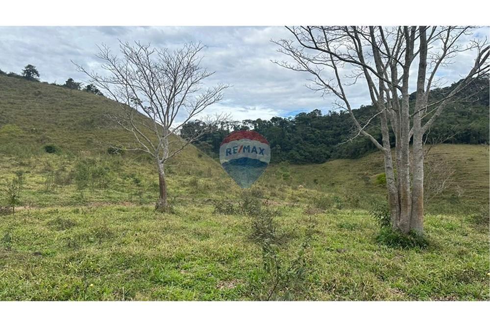 Chácara / Sítio / Fazenda - Venda - Lamim , Minas Gerais - L_7f62b397-92d2-436a-8016-6a4df1b733aa.jpg - 860291033-115