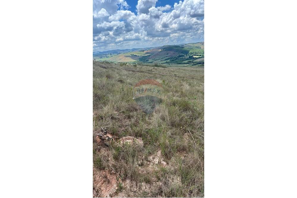 Chácara / Sítio / Fazenda - Venda - Santa Rita do Ibitipoca , Minas Gerais - a7b7c946-ac2b-4009-a9db-a65170900063.JPG - 860291033-67