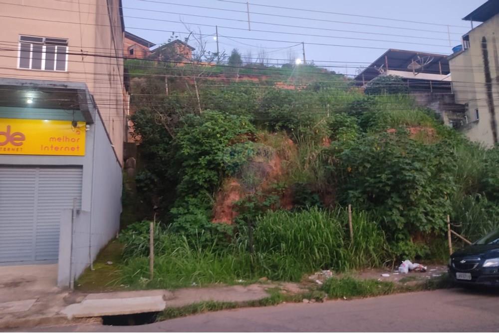 Terreno - Venda - Juiz de Fora , Minas Gerais - WhatsApp Image 2024-11-19 at 18.17.40.jpeg - 860301018-291