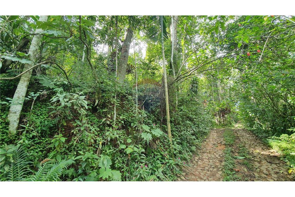 Terreno - Venda - Juiz de Fora , Minas Gerais - 5 - 860231021-231