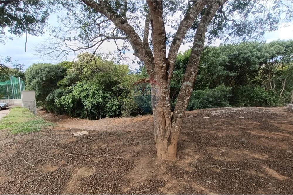 Casa - Venda - Conselheiro Lafaiete , Minas Gerais - 33ad0908-0463-4660-a82e-d492fb6d371c.jpg - 860421022-157