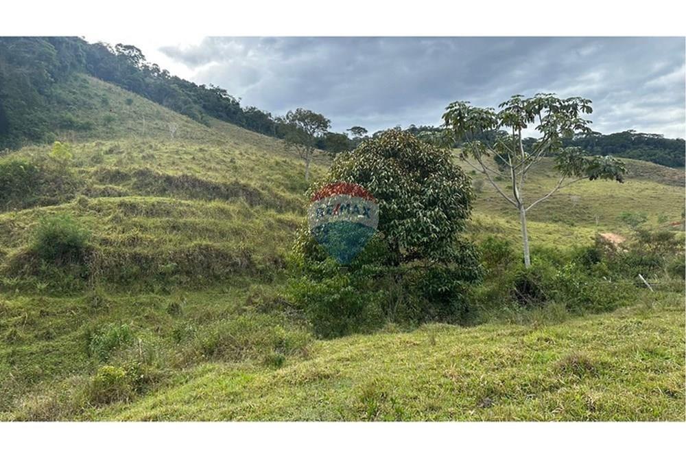 Chácara / Sítio / Fazenda - Venda - Lamim , Minas Gerais - L_b2549443-c617-436c-a054-5237762b0894.jpg - 860291033-115