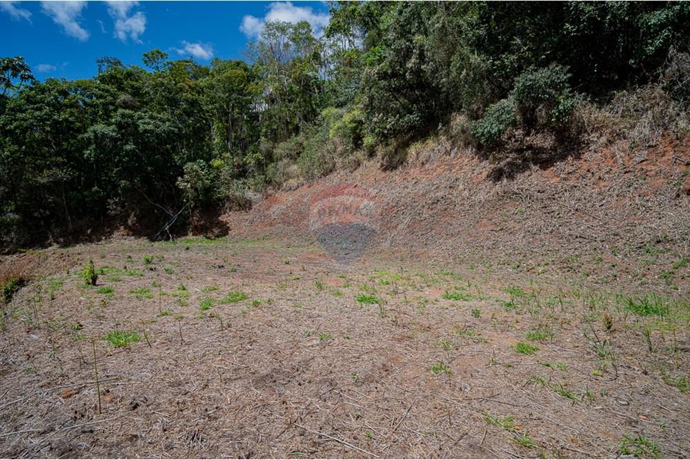 Terreno - Venda - Juiz de Fora , Minas Gerais - michaelseed photo_s3-191.jpg - 860211077-205