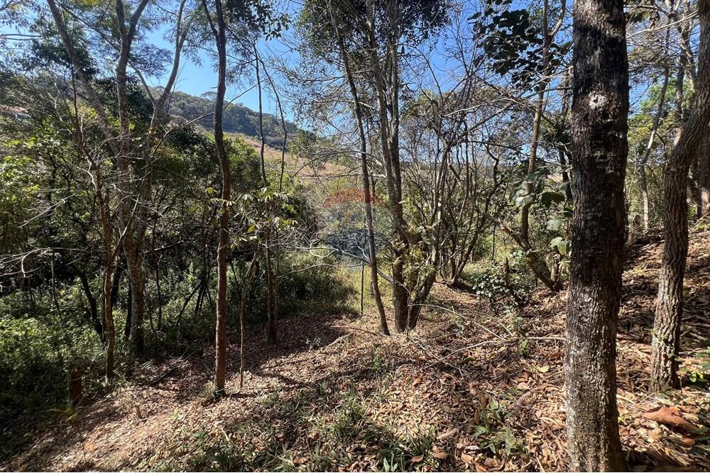 Casa - Venda - Lima Duarte , Minas Gerais - IMG_8169.JPG - 860231001-212