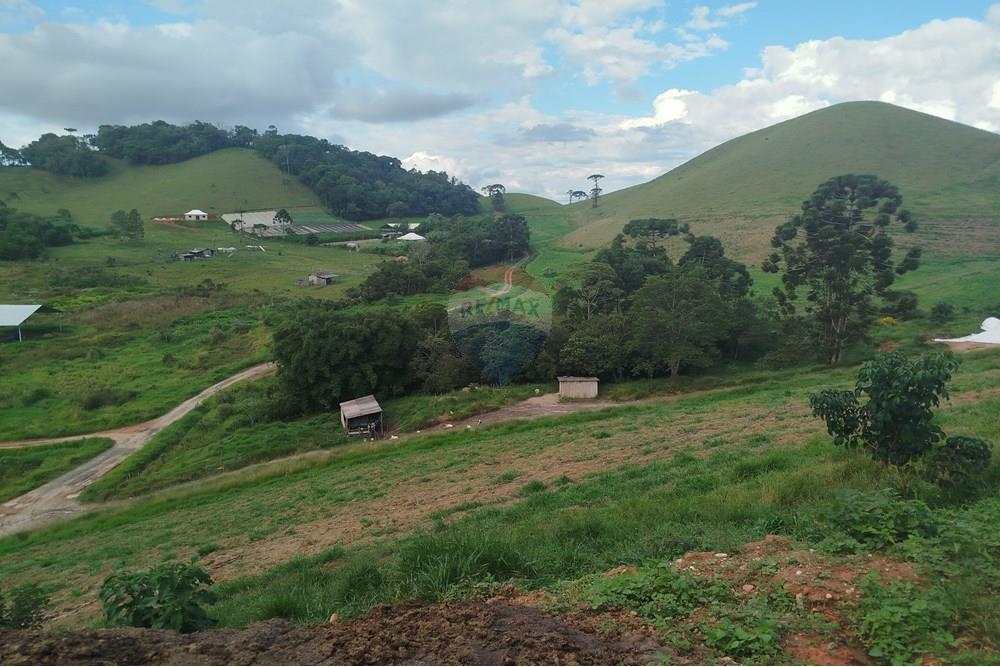 Fazenda - Venda - Barbacena , Minas Gerais - IMG_20250421_152621.jpg - 860391012-32