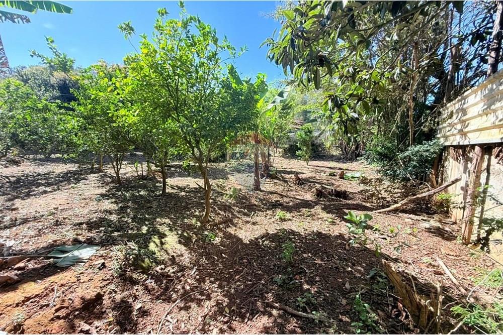 Terreno - Venda - Juiz de Fora , Minas Gerais - WhatsApp Image 2025-09-04 at 15.47.11.jpeg - 860211077-201