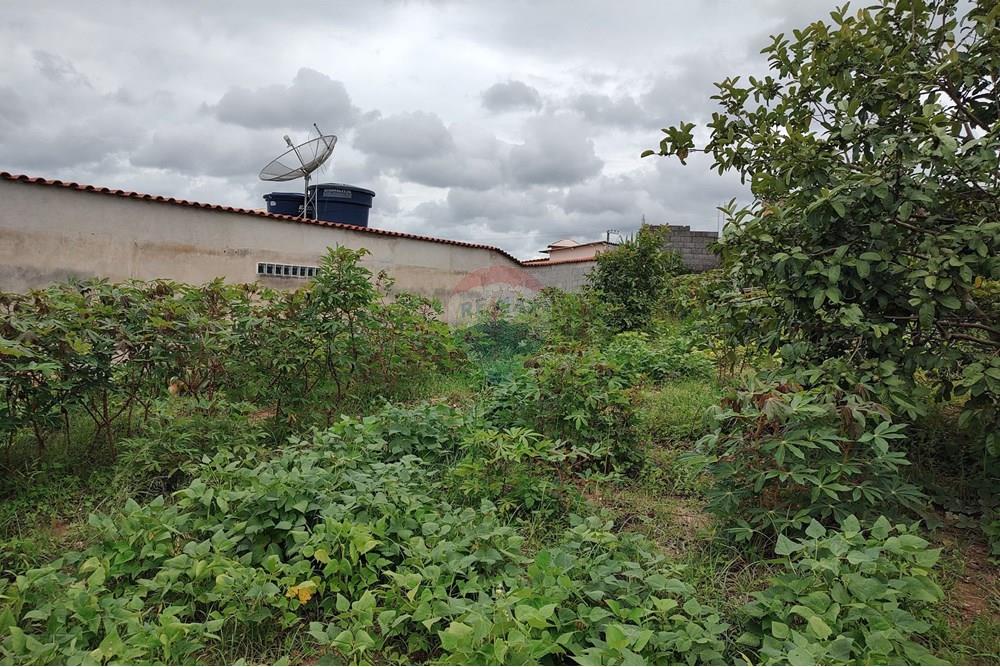 Terreno - Venda - Barbacena , Minas Gerais - WhatsApp Image 2024-12-20 at 10.57.42 (1).jpeg - 860391002-52