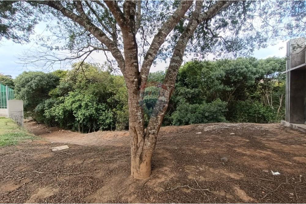 Casa - Venda - Conselheiro Lafaiete , Minas Gerais - 1c81bd11-1807-4e5b-8ce1-f688b5863cb8.jpg - 860421022-157