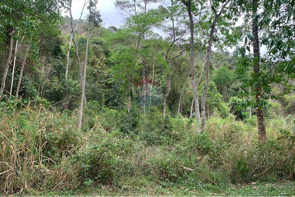 Terreno - Venda - Juiz de Fora , Minas Gerais - Seb4.jpg - 860271016-6