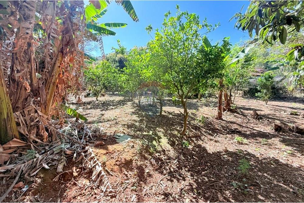 Terreno - Venda - Juiz de Fora , Minas Gerais - WhatsApp Image 2025-09-04 at 15.47.11 (1).jpeg - Churrasqueira - 860211077-201