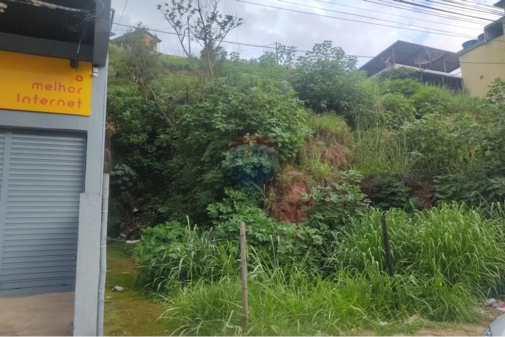 Terreno - Venda - Juiz de Fora , Minas Gerais - WhatsApp Image 2024-11-19 at 18.17.44 (1).jpeg - 860301018-291