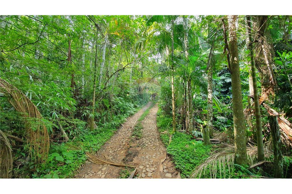 Terreno - Venda - Juiz de Fora , Minas Gerais - 4 - 860231021-231